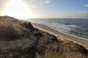 Dünen am Strand