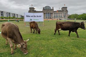 Greenpeace-Protest am 16.05.2023