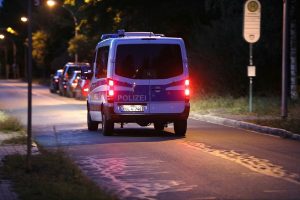 Löwen-Jagd im Süden Berlins am 20.07.2023