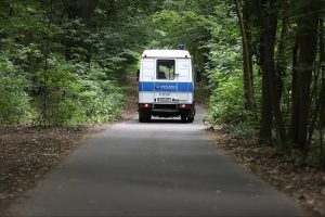 Löwen-Jagd im Süden Berlins am 21.07.2023