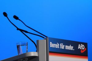 AfD-Parteitag (Archiv)