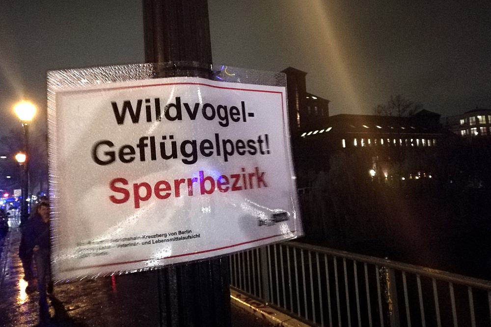 Warnschild vor Geflügelpest in Berlin (Archiv)