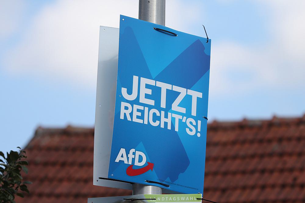 AfD-Wahlplakat (Archiv)