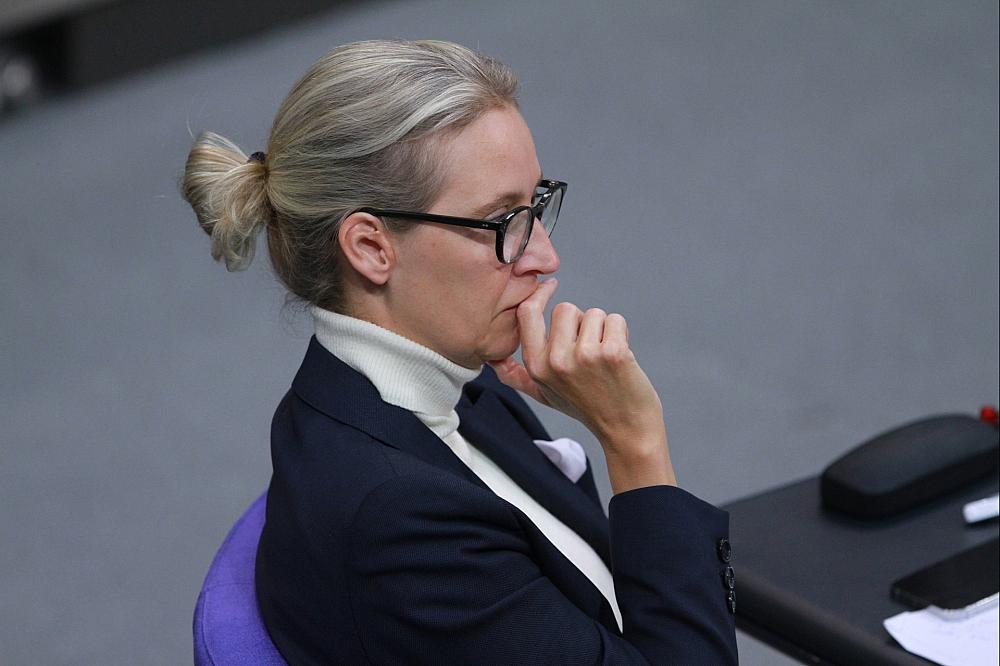 Alice Weidel (Archiv)