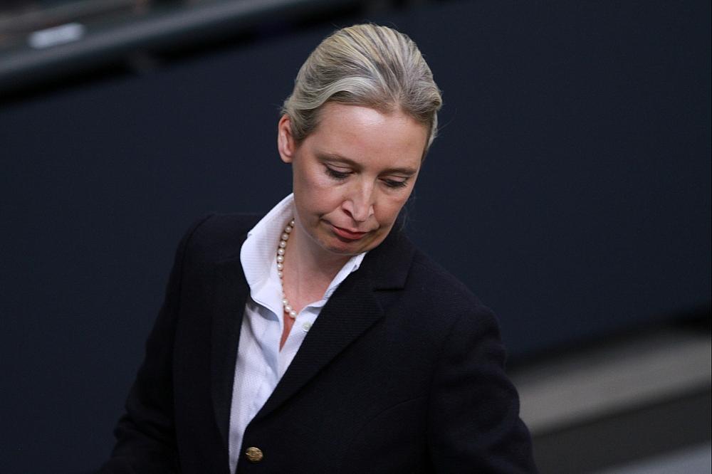 Alice Weidel (Archiv)