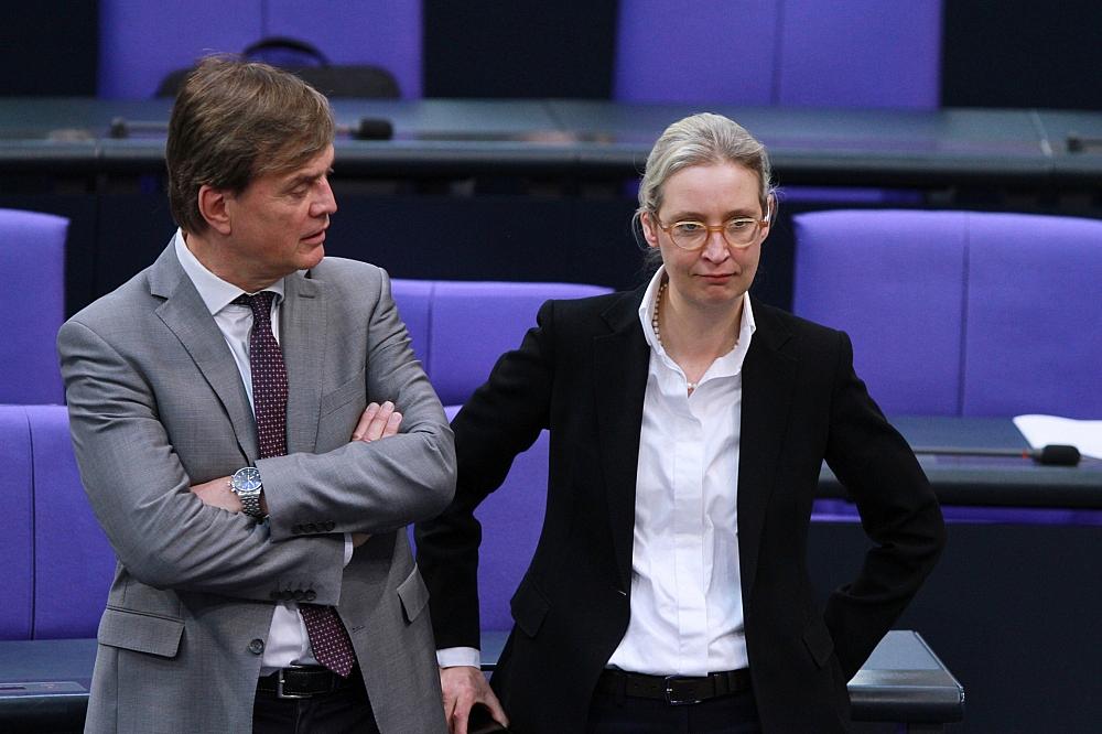 Bernd Baumann und Alice Weidel (Archiv)