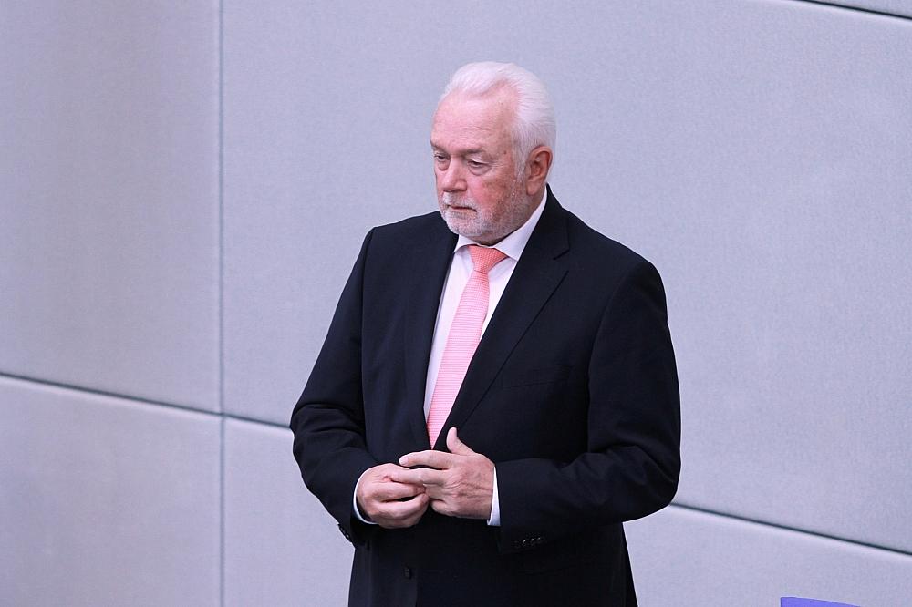 Wolfgang Kubicki (Archiv)