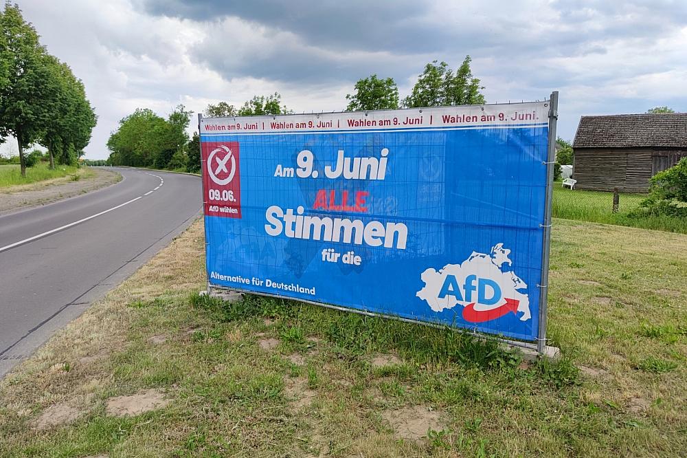 AfD-Wahlplakat in Mecklenburg-Vorpommern (Archiv)