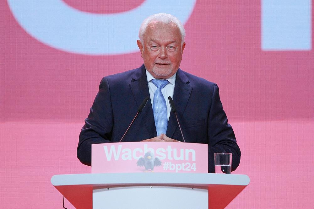 Wolfgang Kubicki (Archiv)