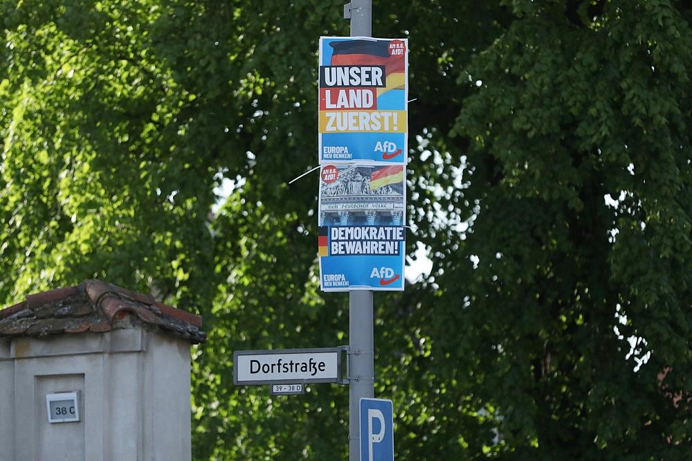 AfD-Wahlplakate zur Europawahl (Archiv)