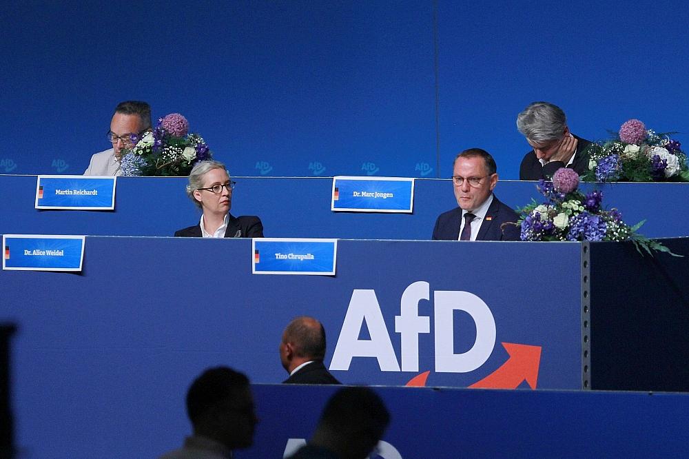 AfD-Parteitag am 30.06.2024