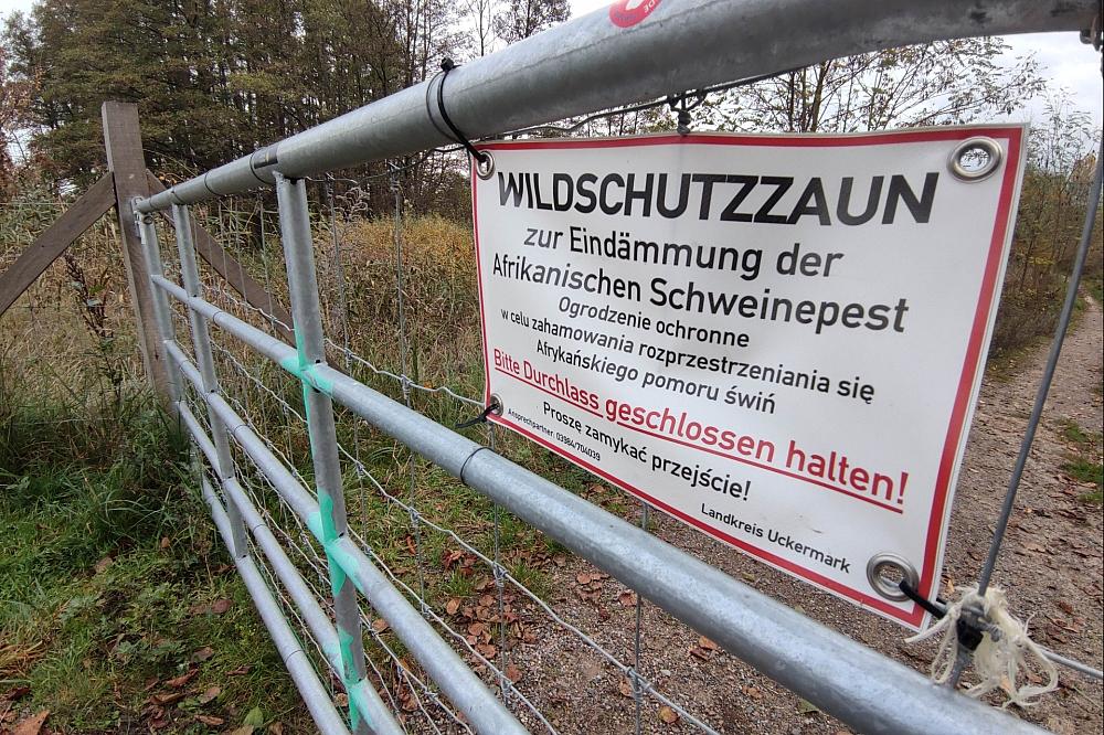 Wildschutzzaun gegen Afrikanische Schweinepest (Archiv)