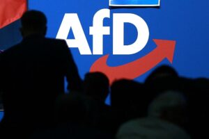 Logo auf AfD-Parteitag (Archiv)