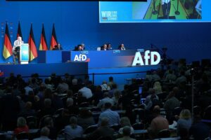 AfD-Parteitag (Archiv)