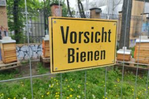 Schild mit der Aufschrift "Vorsicht Bienen" (Archiv)