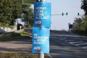 AfD-Wahlplakate zur Landtagswahl in Sachsen (Archiv)