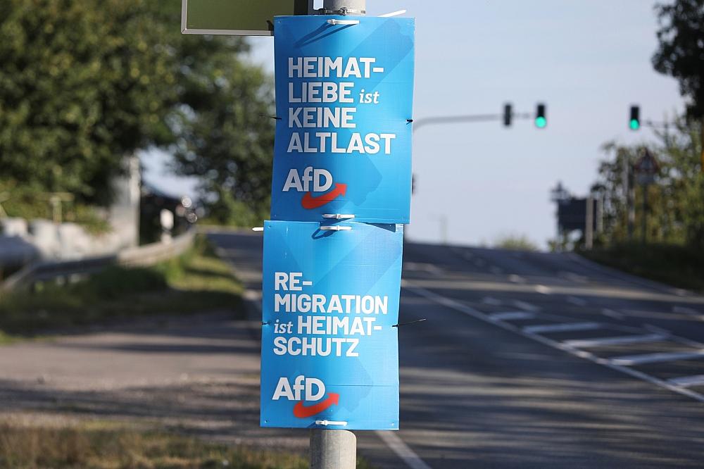 AfD-Wahlplakate zur Landtagswahl in Sachsen (Archiv)