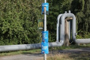 AfD-Wahlplakate zur Landtagswahl in Sachsen (Archiv)