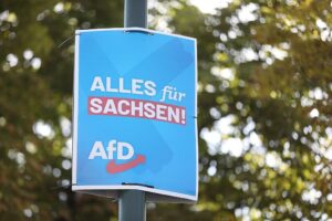 AfD-Wahlplakat zur Landtagswahl in Sachsen (Archiv)