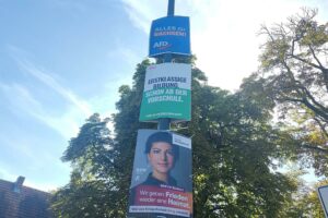 Wahlplakate von AfD