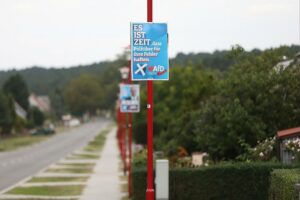 AfD-Wahlplakate zur Landtagswahl in Brandenburg (Archiv)