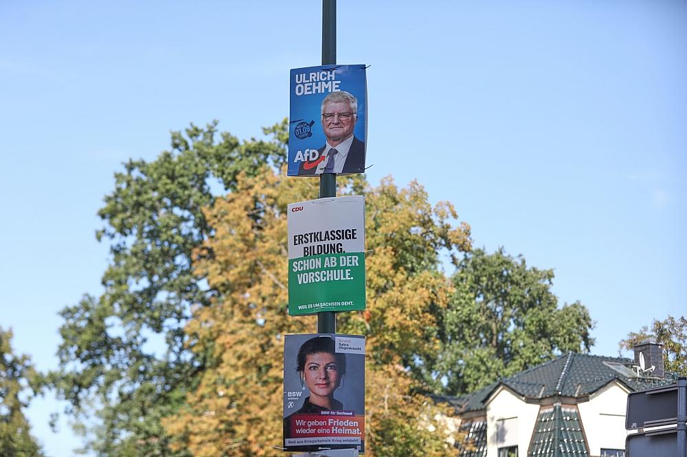 Wahlplakate von AfD