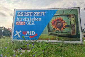 AfD-Wahlplakat zur Landtagswahl in Brandenburg (Archiv)