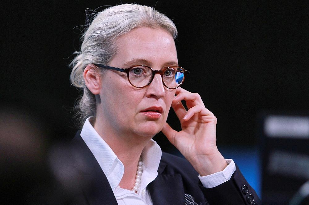 Alice Weidel (Archiv)