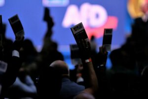 Abstimmung auf AfD-Parteitag (Archiv)