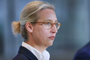 Alice Weidel (Archiv)