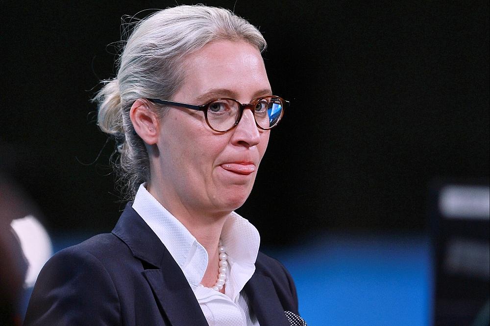 Alice Weidel (Archiv)