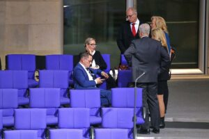 AfD-Abgeordnete im Bundestag am 31.01.2025