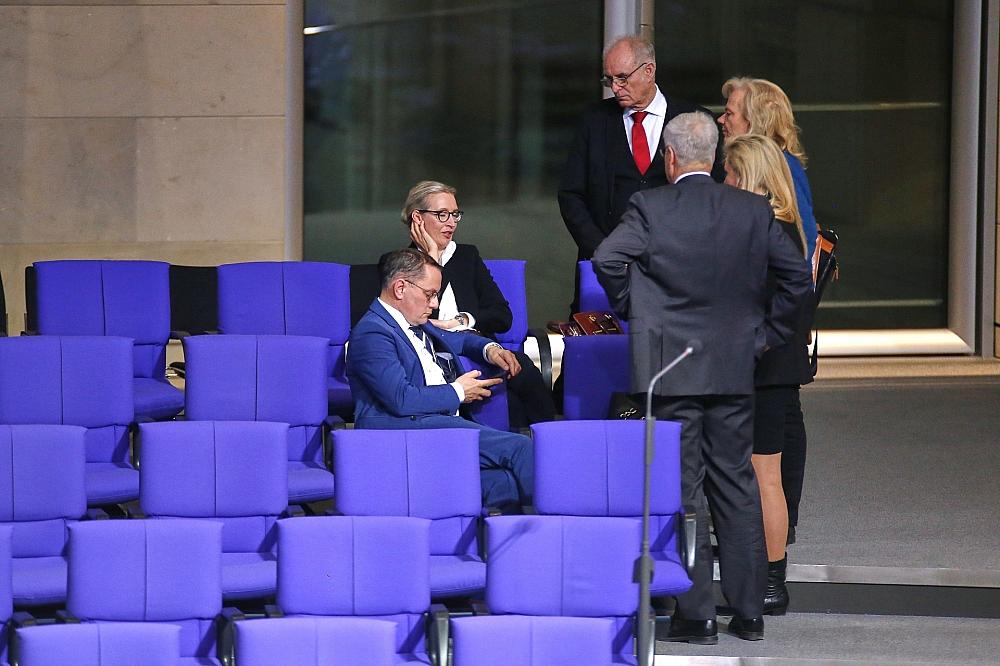 AfD-Abgeordnete im Bundestag am 31.01.2025