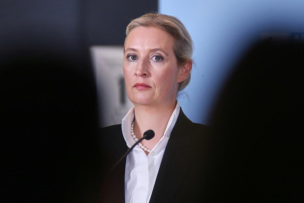 Alice Weidel (Archiv)