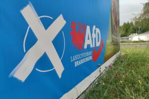 AfD-Wahlplakat zur Landtagswahl in Brandenburg (Archiv)