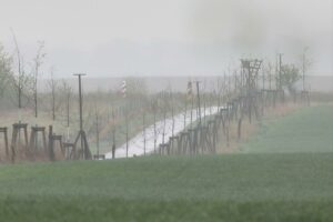Grenze zwischen Polen und Deutschland (Archiv)