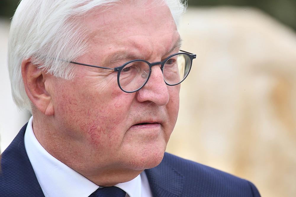 Frank-Walter Steinmeier (Archiv)