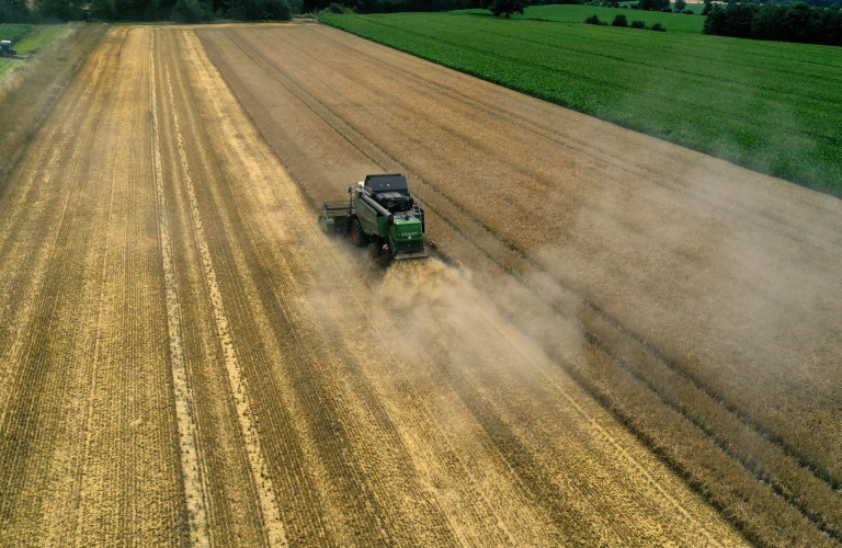 Experten werben für mehr Hecken für Klimaschutz