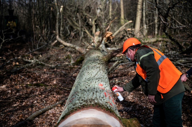 Ausbildungsberufe im Bereich Umwelt- und Klimaschutz immer beliebter