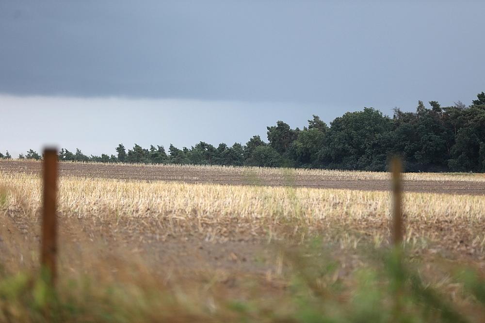 Wetterdienst warnt vor Gewittern mit Starkregen