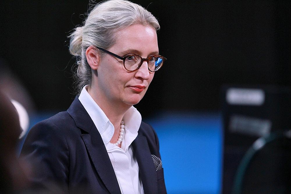 Weidel drängt nach Ost-Wahlen auf Neuwahlen im Bund