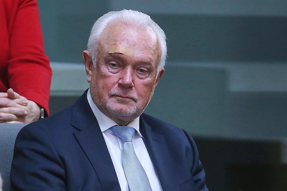 Kubicki sieht große Risiken auf deutsche Demokratie zukommen