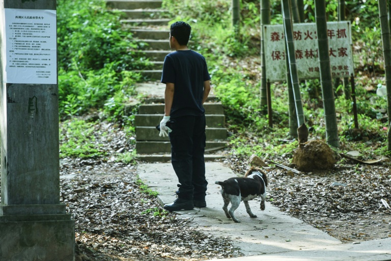 Aufruf zum Daheimbleiben und fast 100 tote Hühner als Köder