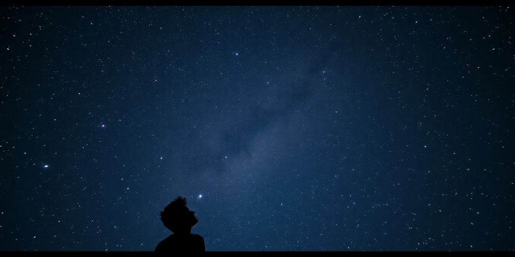 Sternenhimmel mit einer Person, die nach oben schaut.