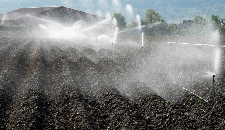 Umweltministerin sieht Deutschland beim Wasser vor "enormen Herausforderungen"