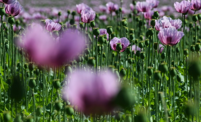Zahl der Biohöfe seit 2010 deutlich gestiegen