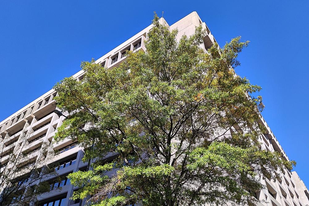 IWF sieht starke Parallelen zur Dotcom-Blase Internationaler Währungsfonds (Archiv)