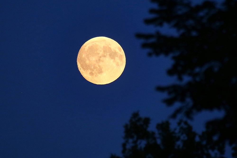 Deutscher soll zum Mond fliegen Mond (Archiv)