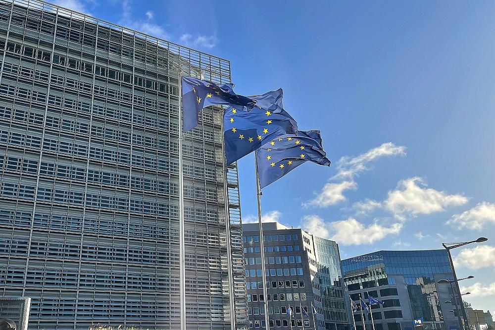 Bundesregierung will mehr Deutsche für Karriere in EU „begeistern“ EU-Fahnen (Archiv)