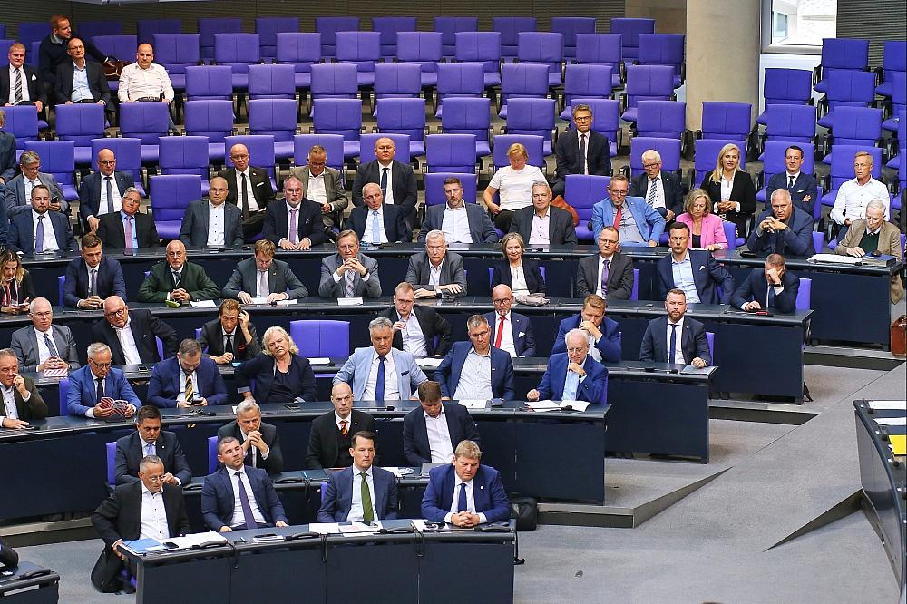 Mercosur-Abkommen spaltet AfD-Bundestagsfraktion AfD-Fraktion (Archiv)